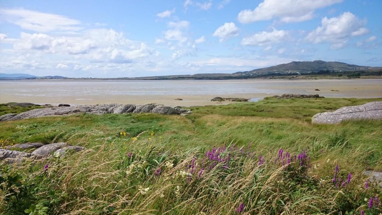 The Rockhouse - Cosy Stone Built Thatch Cottage Dungloe Εξωτερικό φωτογραφία