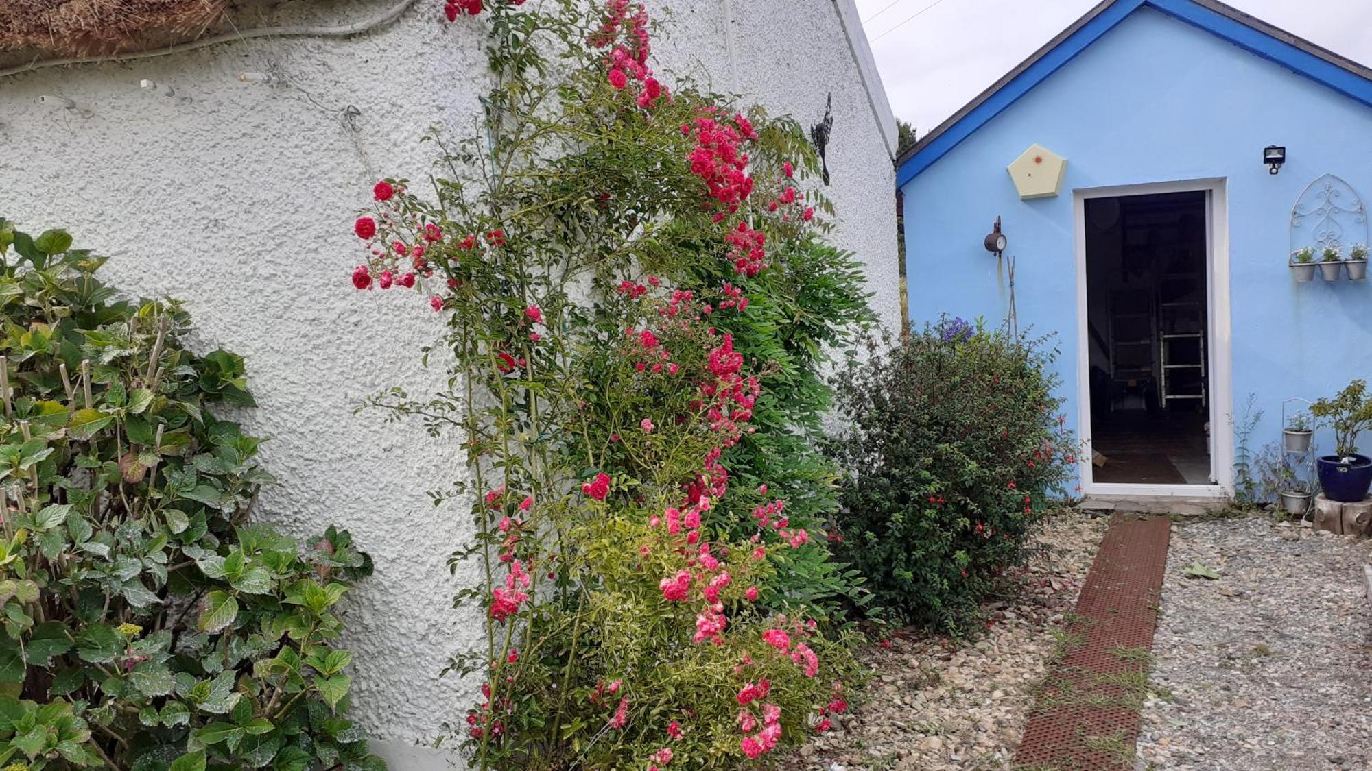 The Rockhouse - Cosy Stone Built Thatch Cottage Dungloe Εξωτερικό φωτογραφία